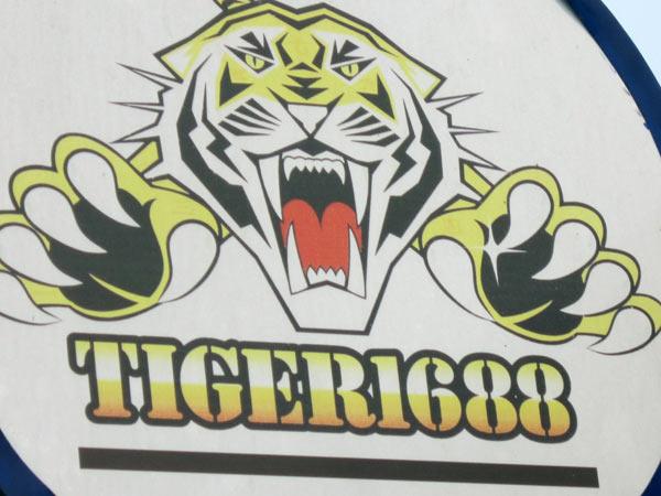 tiger1688